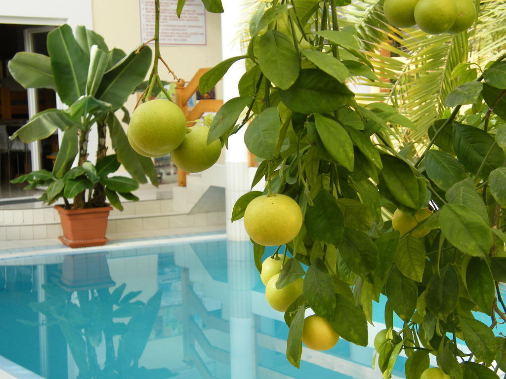 Wellness Kakadu 3*
